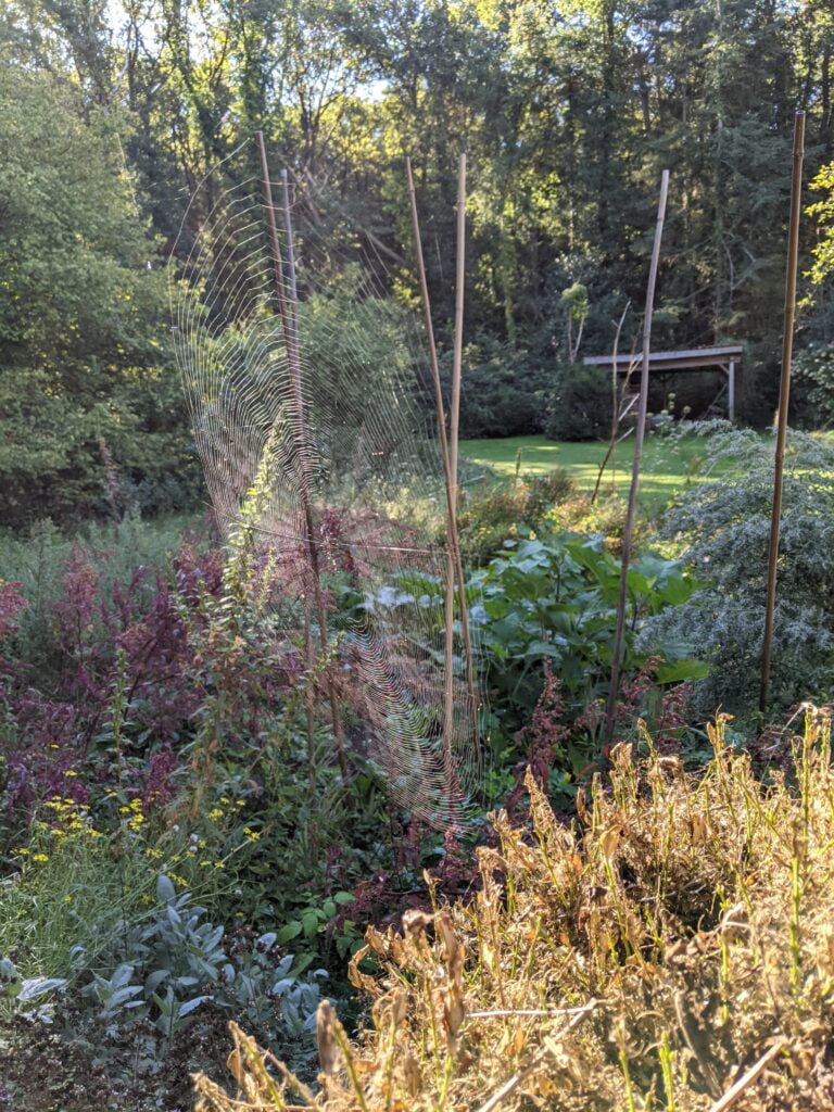 Ingrediënten voor duurzaam leiderschap (1) - Herwaardering van het gevoel